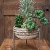 Small Xander Plant Stand image 4