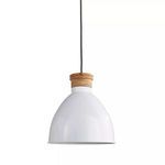 Product Image 1 for Brody Pendant from Napa Home And Garden