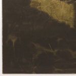 Close crop of painting's bottom left showing fabric texture and dark, shadowy foliage forms