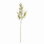Product Image 1 for Plumosa Stems, Set Of 6 from Napa Home And Garden