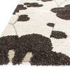 Product Image 2 for Enchant Ivory / Expresso Rug from Loloi