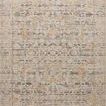 Vintage style area rug with distressed charcoal and apricot motifs in neutral grey and beige tones
