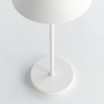 Product Image 4 for Alluna Cordless Led Lamp from Napa Home And Garden