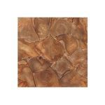 Product Image 19 for Tomlin Brown Teak Outdoor Bunching Table from Four Hands