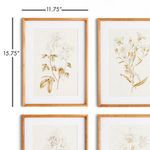 Product Image 3 for Fleur De Blanc Prints, Set Of 4 from Napa Home And Garden
