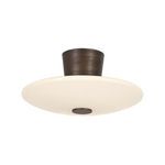 Product Image 1 for Albus Semi Flush from Troy Lighting