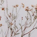 Product Image 13 for In The Details I By Annie Spratt from Four Hands