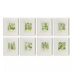Product Image 1 for Wildflower Prints, Set Of 8 from Napa Home And Garden