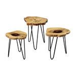 Product Image 1 for Teak Nesting Tables from Elk Home