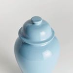 Product Image 3 for Koa Lidded Mini Ginger Jar from Napa Home And Garden