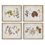Product Image 1 for Leaf Study Blush Tones, Set Of 4 from Napa Home And Garden
