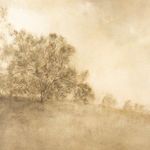 Product Image 9 for Revival By Aileen Fitzgerald from Four Hands