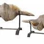 Product Image 1 for Uttermost Conch Shell Sculpture, Set/2 from Uttermost