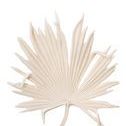 Product Image 1 for Island Leaf Object, Medium In Off White Resin from Jamie Young