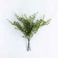 Product Image 1 for Dorothea Fern Stems, Bundle of 7 from Napa Home And Garden