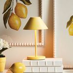 Product Image 8 for Alluna Cordless Led Lamp from Napa Home And Garden