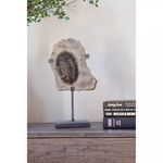Product Image 2 for Trilobite Fossil On Stand from Moe's