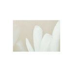 Product Image 4 for Chorus 1 Framed Painting from Moe's