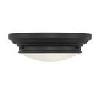 Product Image 1 for Cassidy 2 Light Flush Mount from Savoy House
