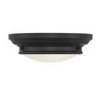 Product Image 1 for Cassidy 2 Light Flush Mount from Savoy House 