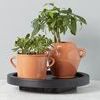 Product Image 1 for Terracotta Italian Olive Jar Planter, Medium from etúHOME