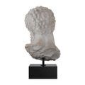 Product Image 4 for Hercules Head on Metal Stand from Currey & Company