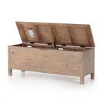 Product Image 6 for Gyro Trunk Scrubbed Teak from Four Hands
