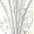 Close-up of Twiggy Oval Chandelier's white iron spiky twig details on central stem