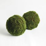Product Image 2 for Moss Orbs, Set of 2 from Napa Home And Garden