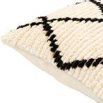 Product Image 1 for Benisouk Cream / Black Pillow from Surya