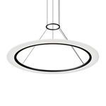 Product Image 1 for Arctic Rings™ Pendant from Sonneman