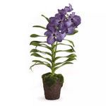 Product Image 1 for Vanda Orchid Drop In from Napa Home And Garden