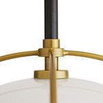 Product Image 10 for Dorothy Black Bronze Steel Pendant from Arteriors