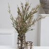 Tall vase filled with floral stems with smaller vase beside it on white surface and minimalist decor behind