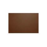 Flat close-up of smooth tan leather material used on chair's backrest