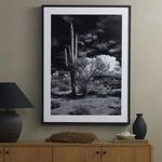 Product Image 11 for Sonoran Desert By Getty from Four Hands
