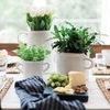 Product Image 7 for White Italian Olive Jar Planter from etúHOME