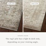 Close-up showing light and dark sides of the rug’s pile on wooden floor