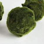 Product Image 3 for Moss Orbs, Set of 3 from Napa Home And Garden