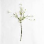Product Image 1 for Cosmos Stems, Set of 3 from SN Warehouse
