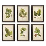 Product Image 1 for Arborist Framed Prints, Set Of 6 from Napa Home And Garden