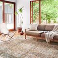 Wynter rug styled in a bright living room with large windows, wood flooring, neutral sofa, and plants