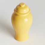 Product Image 3 for Koa Lidded Mini Ginger Jar from Napa Home And Garden