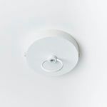 Product Image 4 for Lucia Pendant from Napa Home And Garden