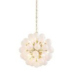 Product Image 1 for Antoneta Chandelier from Mitzi
