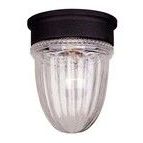Product Image 1 for Exterior Collections Jelly Jar Flush Mount from Savoy House 