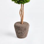 Product Image 3 for Boxwood Single Sphere Topiary Drop-In from Napa Home And Garden