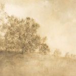 Product Image 9 for Revival By Aileen Fitzgerald from Four Hands