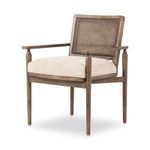 Product Image 15 for Xavier Aged Almond Cane Dining Armchair from Four Hands