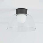 Lakeside Flush Mount ceiling light installed on a white ceiling viewed slightly from below